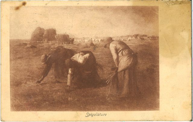 Spigolatrici