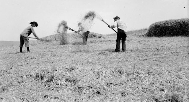 Lavori e Mestieri — Tavola V