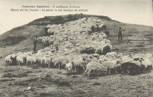 Caprari e Lattari — Tavola VI